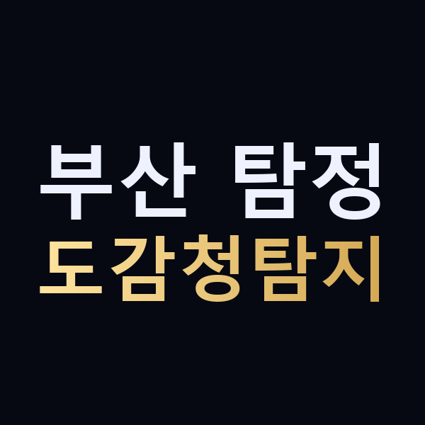 부산 탐정 도감청탐지 맥가이버