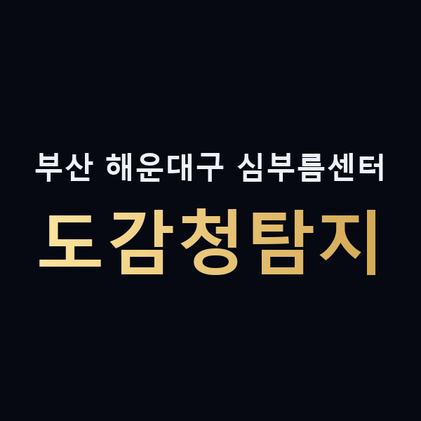 부산 해운대구 심부름센터 도감청탐지 맥가이버