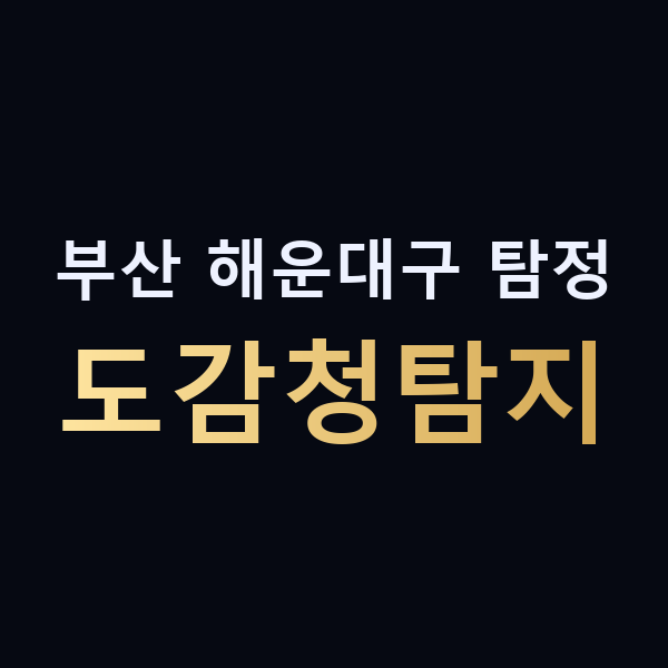 부산 해운대구 탐정 도감청탐지 맥가이버
