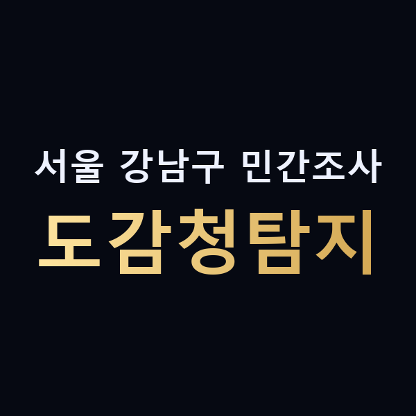 서울 강남구 민간조사 도감청탐지 맥가이버