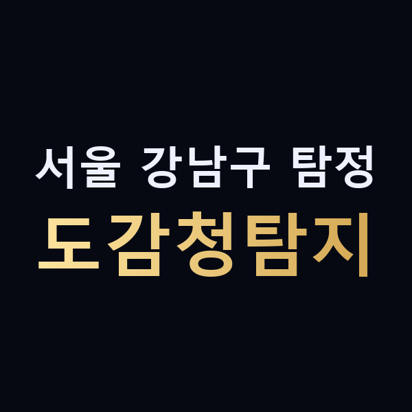 서울 강남구 탐정 도감청탐지 맥가이버
