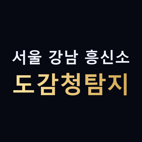 서울 강남 흥신소 도감청탐지 맥가이버