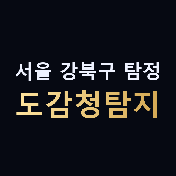 서울 강북구 탐정 도감청탐지 맥가이버