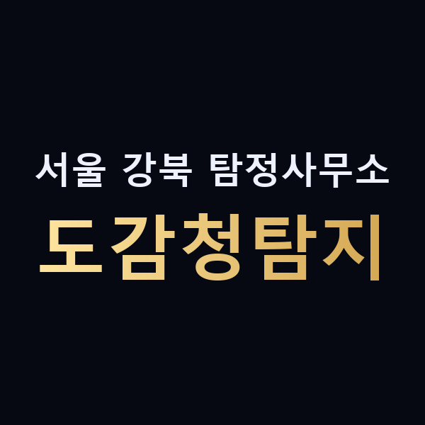 서울 강북 탐정사무소 도감청탐지 맥가이버