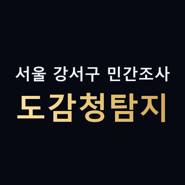 서울 강서구 민간조사 도감청탐지 맥가이버