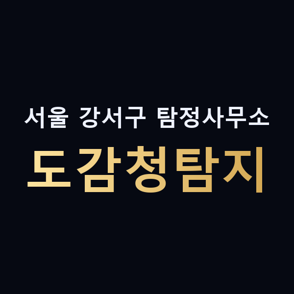 서울 강서구 탐정사무소 도감청탐지 맥가이버