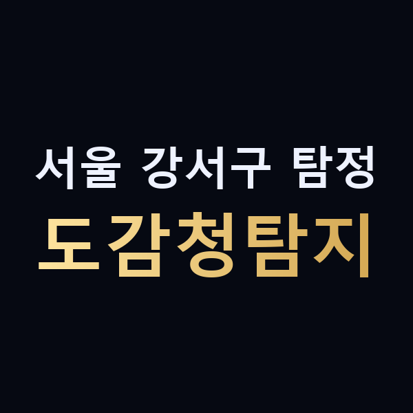 서울 강서구 탐정 도감청탐지 맥가이버
