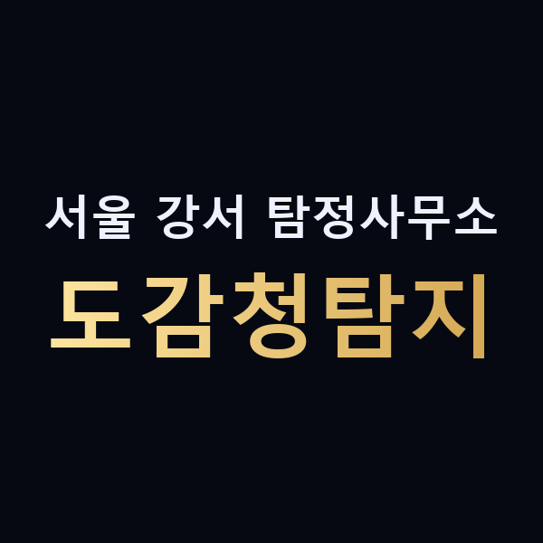 서울 강서 탐정사무소 도감청탐지 맥가이버