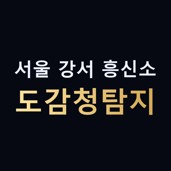 서울 강서 흥신소 도감청탐지 맥가이버
