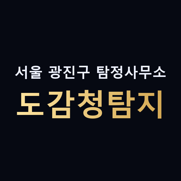 서울 광진구 탐정사무소 도감청탐지 맥가이버