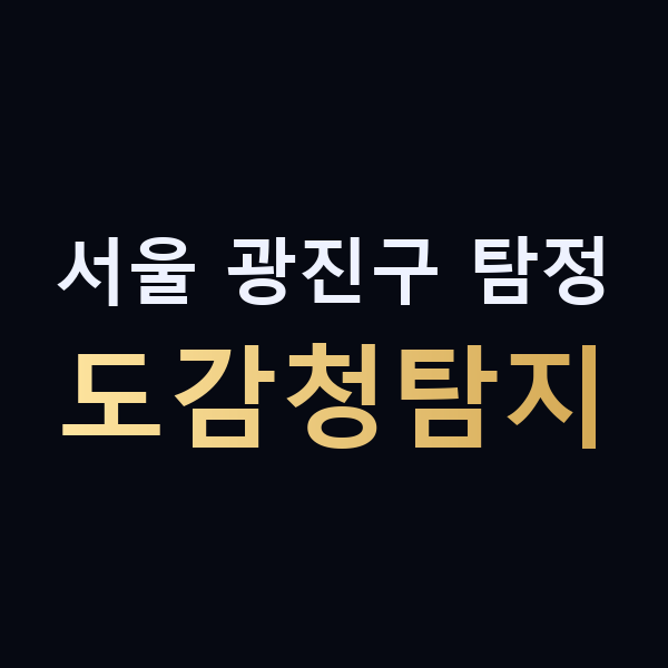 서울 광진구 탐정 도감청탐지 맥가이버