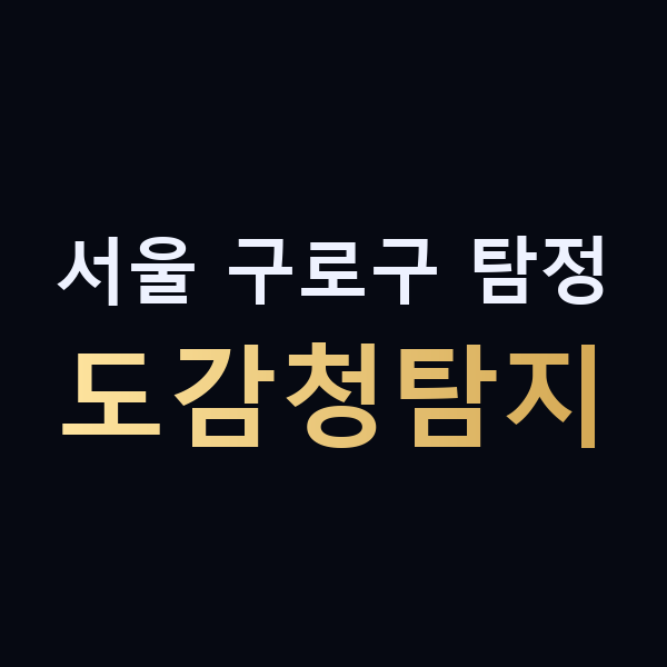 서울 구로구 탐정 도감청탐지 맥가이버