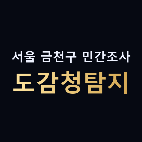 서울 금천구 민간조사 도감청탐지 맥가이버