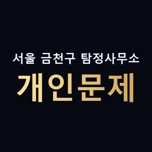서울 금천구 탐정사무소 개인문제 맥가이버
