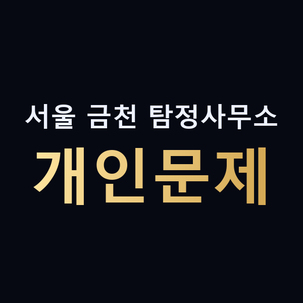 서울 금천 탐정사무소 개인문제 맥가이버