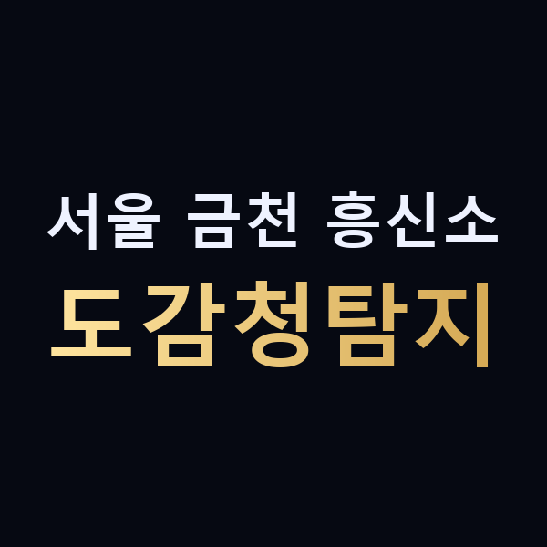 서울 금천 흥신소 도감청탐지 맥가이버