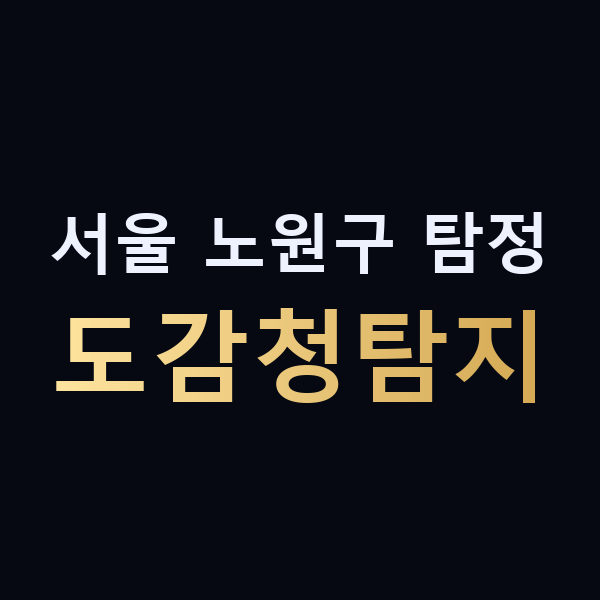 서울 노원구 탐정 도감청탐지 맥가이버