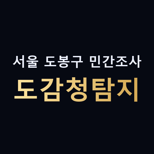 서울 도봉구 민간조사 도감청탐지 맥가이버