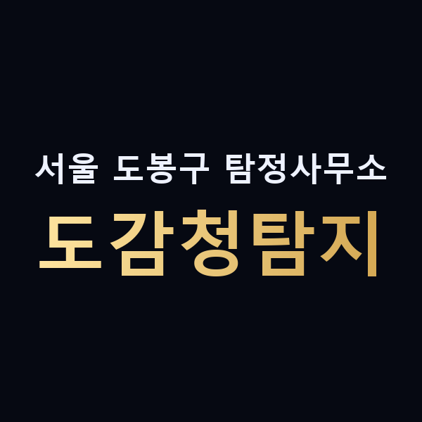 서울 도봉구 탐정사무소 도감청탐지 맥가이버