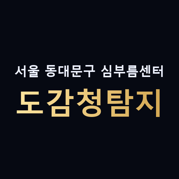 서울 동대문구 심부름센터 도감청탐지 맥가이버