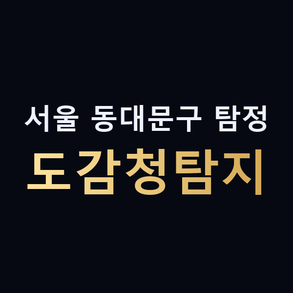 서울 동대문구 탐정 도감청탐지 맥가이버