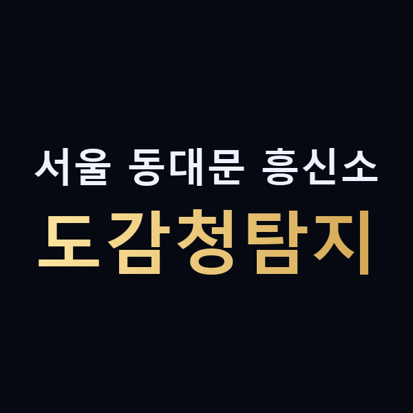 서울 동대문 흥신소 도감청탐지 맥가이버