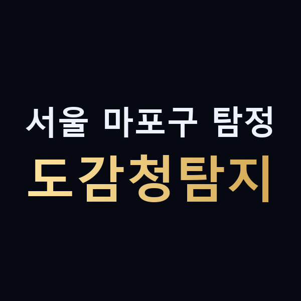 서울 마포구 탐정 도감청탐지 맥가이버