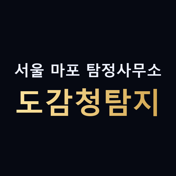 서울 마포 탐정사무소 도감청탐지 맥가이버