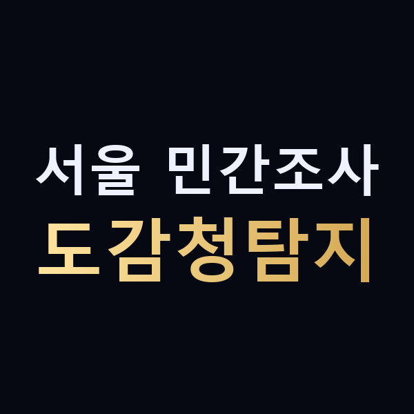 서울 민간조사 도감청탐지 맥가이버