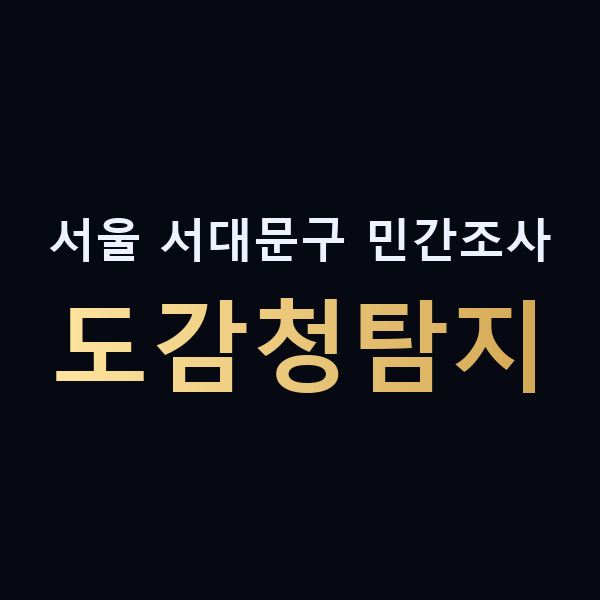 서울 서대문구 민간조사 도감청탐지 맥가이버