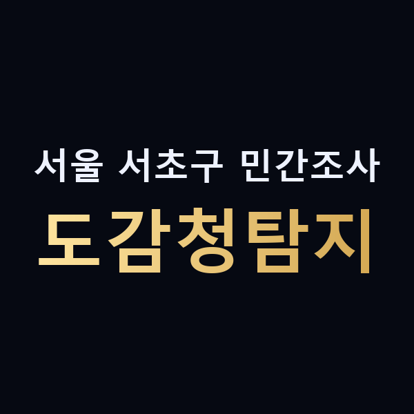 서울 서초구 민간조사 도감청탐지 맥가이버