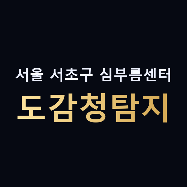 서울 서초구 심부름센터 도감청탐지 맥가이버
