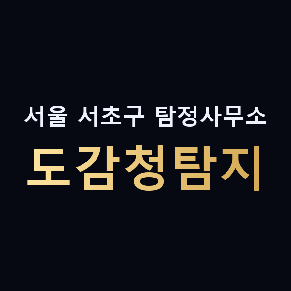서울 서초구 탐정사무소 도감청탐지 맥가이버