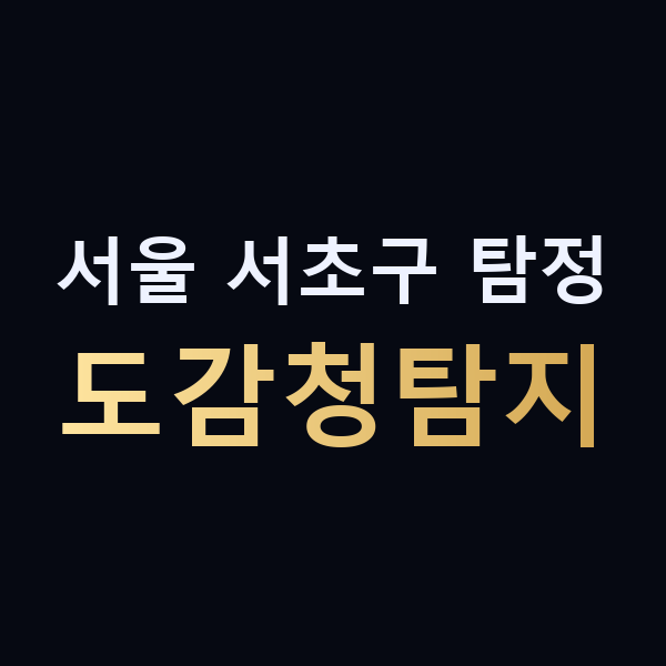 서울 서초구 탐정 도감청탐지 맥가이버