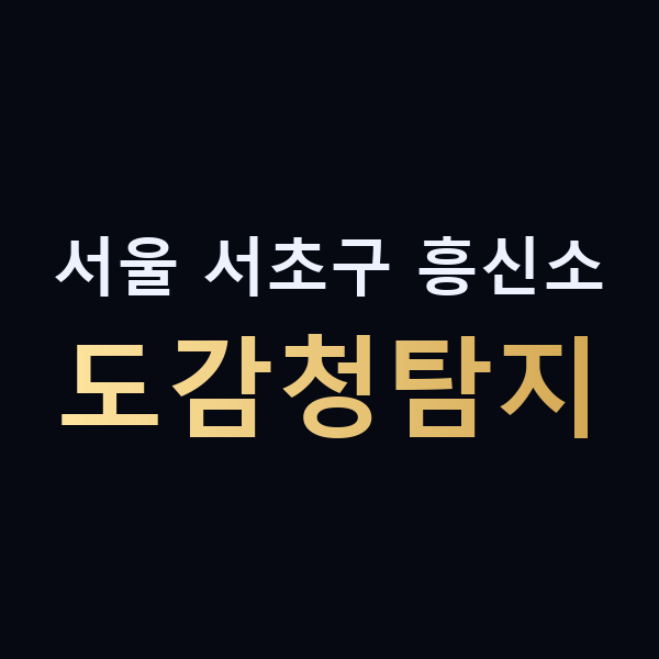 서울 서초구 흥신소 도감청탐지 맥가이버