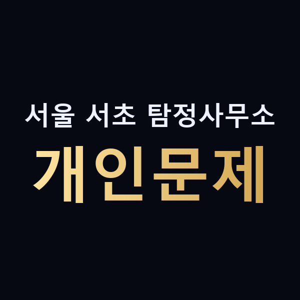 서울 서초 탐정사무소 개인문제 맥가이버
