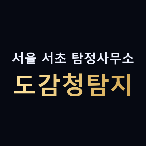 서울 서초 탐정사무소 도감청탐지 맥가이버