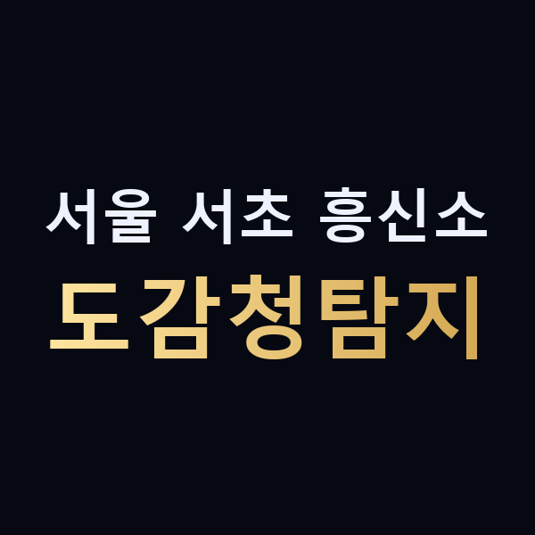 서울 서초 흥신소 도감청탐지 맥가이버
