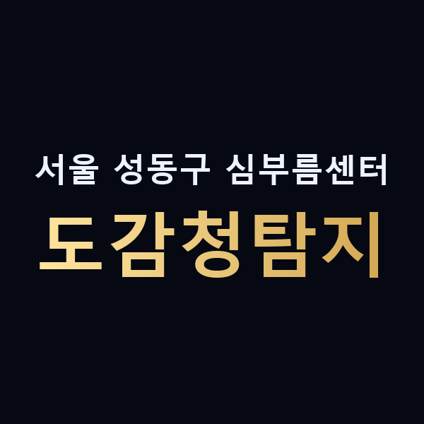 서울 성동구 심부름센터 도감청탐지 맥가이버