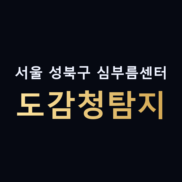 서울 성북구 심부름센터 도감청탐지 맥가이버