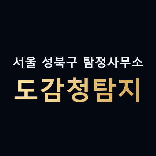 서울 성북구 탐정사무소 도감청탐지 맥가이버