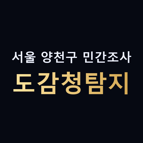 서울 양천구 민간조사 도감청탐지 맥가이버