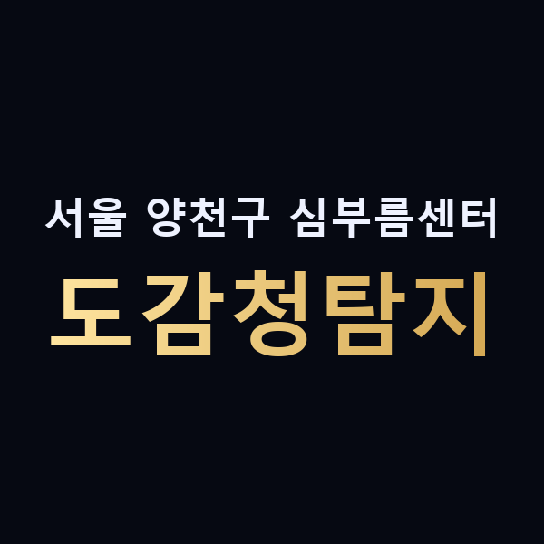 서울 양천구 심부름센터 도감청탐지 맥가이버