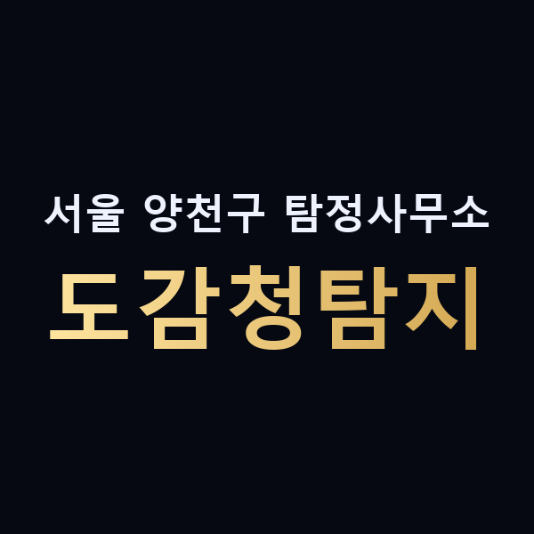 서울 양천구 탐정사무소 도감청탐지 맥가이버