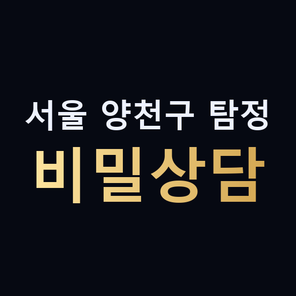 서울 양천구 탐정 비밀상담 맥가이버