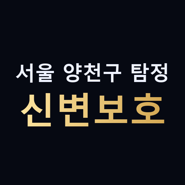 서울 양천구 탐정 신변보호 맥가이버