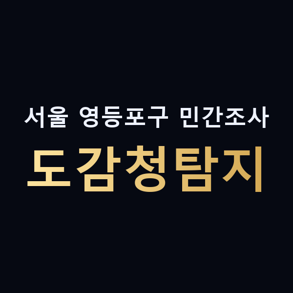 서울 영등포구 민간조사 도감청탐지 맥가이버