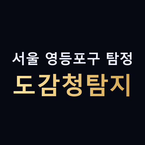 서울 영등포구 탐정 도감청탐지 맥가이버