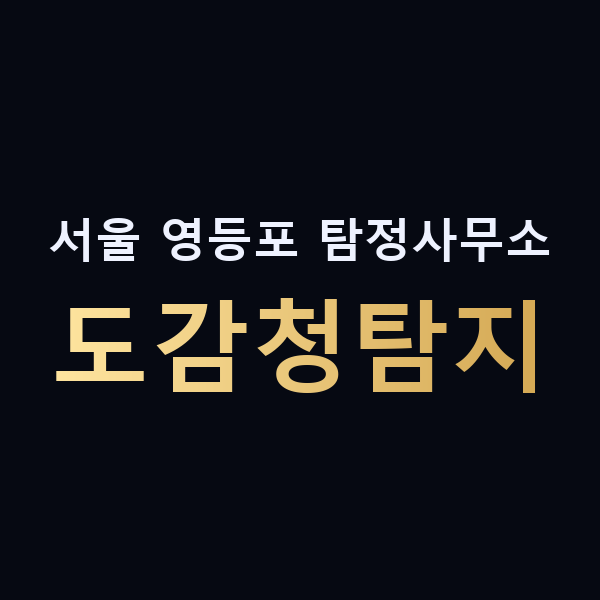 서울 영등포 탐정사무소 도감청탐지 맥가이버