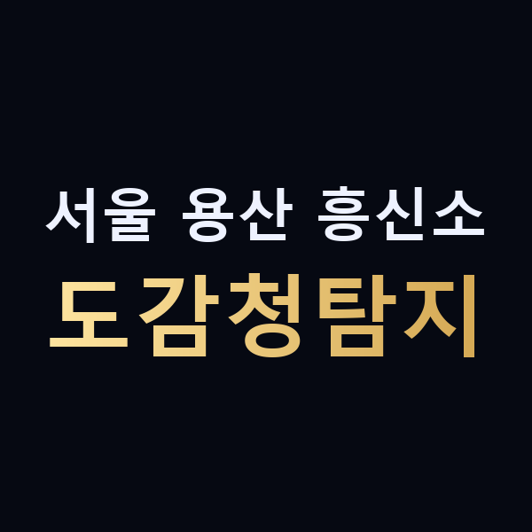 서울 용산 흥신소 도감청탐지 맥가이버